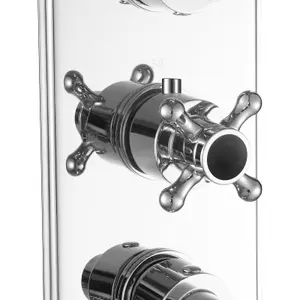 ENKI Regent Chrome Black Crosshead 2-Outlet Solid Brass Thermostatic Triple Shower Valve TSV033