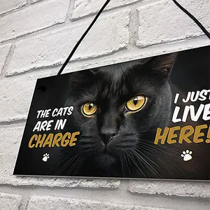 Red Ocean Funny Joke The Cats Are In Charge Cat Gifts For Cat Lovers Hanging Wall Sign Pet Gifts Pet Signs