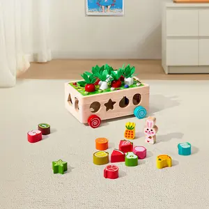 Kid Toy Toddler Play Set Wooden Montessori Sorting & Stacking Toy,Shape Recognition & Fine Motor Skill Development for Kid