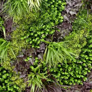 True Products Premium Artificial Green Plant Living Wall Panel 1m x 1m - Monet