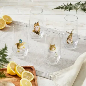 Wrendale Designs 4 Piece Highball Glasses Set