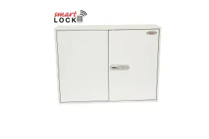 Phoenix Commercial Key Cabinet KC0600N 600 Hook with Net Code Electronic Lock.