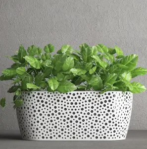 Plant Pots Plastic Trough Vero Box Decorative Grey