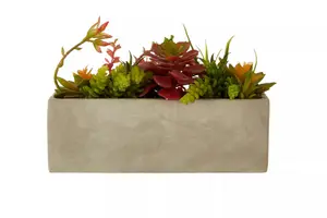 Fiori Mixed Succulents with Cement Pot Artificial Plant Foliage