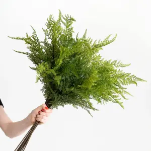 Blooming Artificial - 24-Pack of Faux Forest Fern Stems - Indoor Use