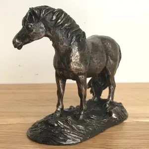 Shetland Pony horse figurine in solid cold cast bronze designed by Harriet Glen