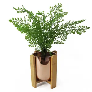 16cm Gold Ceramic Planter with Bamboo Stand