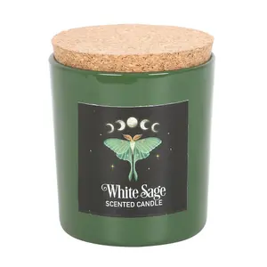 Something Different Luna Moth White Sage Scented Candle White/Green (One Size)