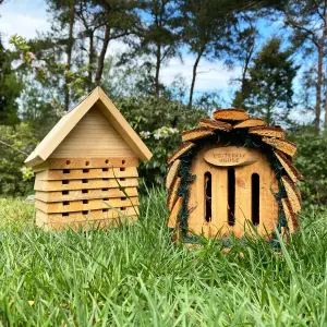 Wooden Solitary Bee Hive Hotel Habitat & Hanging Butterfly House