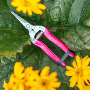 Burgon & Ball Flora brite Pink 20mm Stainless steel Snips