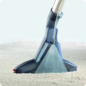 Thomas Pet&Family vacuum and carpet cleaner