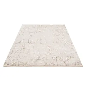 Beige Tonal Super Soft Distressed Abstract Fringed Area Rug 120x170cm