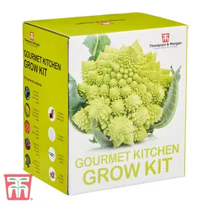 Seed Growing Kit - Gourmet Kitchen Vegetables