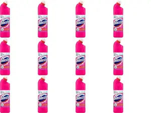 Domestos Pink Bleach 750ml (Pack of 12)