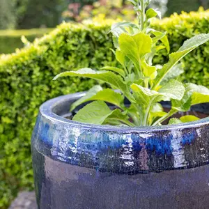 Primrose Stoneware Round High Gloss Garden Planter In Blue Mix 57cm