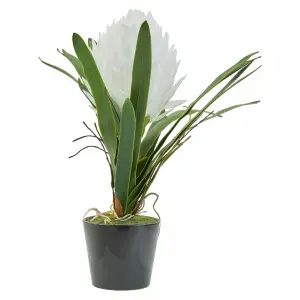 Fiori White Tropical Plant Artificial Plant Foliage