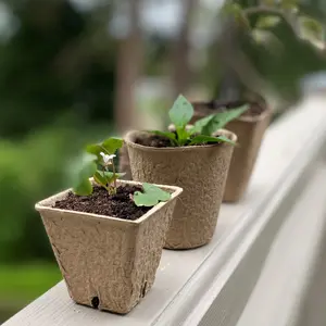 144 x 8cm Eco Square Fibre Biodegradable and Compostable Plant Pots