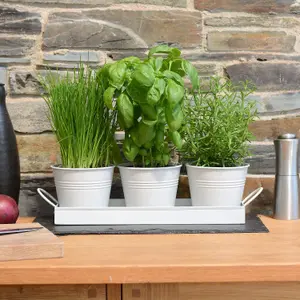 Set of 3 Metal Herb Plant Pots with Saucer Tray Indoor Windowsill Kitchen Planter (White)