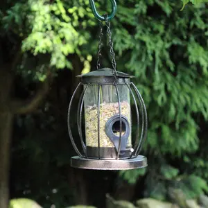 Set of 3 Wild Bird Hanging Lantern Feeders