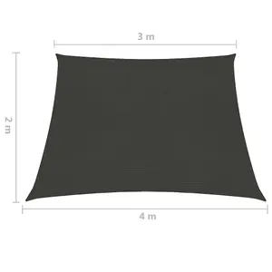 Berkfield Sunshade Sail 160 g/m2 Anthracite 3/4x2 m HDPE