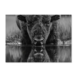 Toughened 6mm Glass Kitchen Splashback 90 x 65cm Black White Bison - Polished  Heat Resistant Back Splash for Cookers Hob