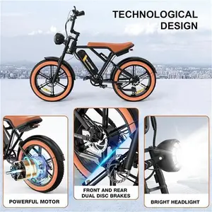 HITWAY 750W Electric Bike For Adults,20X4.0 Fat Tire Off-Road E Bike