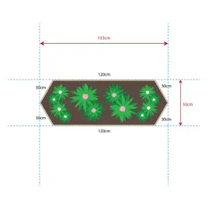 Greena Extended Hexagonal Raised Bed 120 x 30cm, H15cm