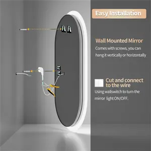 Oval LED Wall Mirror 80cm H x 50cm W