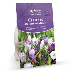 Crocus Bulbs - Botanical Mixed (140 bulb) by Jamieson Brothers