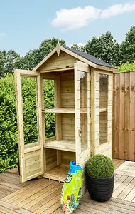 3 x 2 Pressure Treated Wooden T&G Wooden Apex Mini Greenhouse (3' x 2' / 3ft x 2ft)