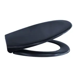 RTS Anthracite Oval Top Fix Slow Close Quick Release Toilet Seat