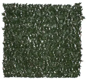 Primrose Artificial Green Acer Extendable Trellis Plastic Hedge Patio Fence Privacy Screening 2m x 1m