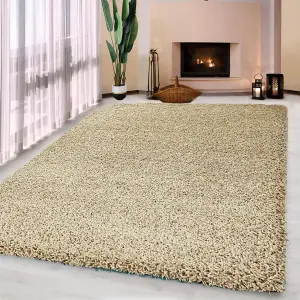 Luxurious Shaggy Rugs Soft Extra Thick Area Rugs Heavy 5cm Dense Pile for Living Room Bedroom Hallway (Light Beige 80 x 150)