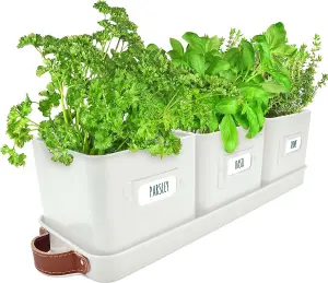 Herb Pots Set - 3 Warm Stone Planters with Leather Handled Tray for Indoor Herb Garden - Labels Included