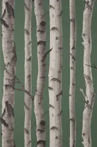 Fine Decor Birch Trees Hunter Green Wallpaper FD43292