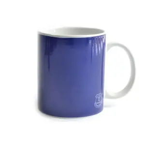 Everton Halftone 0.3kg Boxed Mug Navy (One Size)