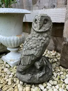 Barn Owl Stone Statue Vintage Style Bird Outdoor British Made Garden Ornament Sculpture