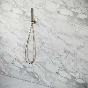 Nes Home Wall Mounted Modern Brushed Gold Brass Shower Handset with Holder Hose