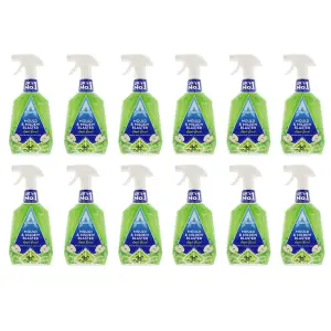 Astonish Mould & Mildew Remover - 750 ml (Pack of 12)