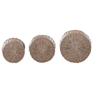 Set of 3 Plant Pots PENDULA PE Rattan Natural