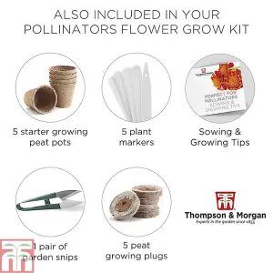 Pollinators Flower Seed Grow Kit - 1 Pack