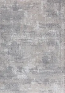 Aura Large Indoor Rug 200 X 290cm