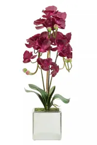 Fiori Aubergine Orchid Plant Artificial Plant Foliage