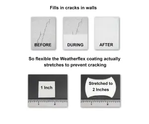 Weatherflex Smooth Premium Masonry Paint - 5L - Magnolia -  For Brick, Stone, Concrete Block, Concrete, Render