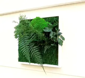 WEST POINT Square Stabilized Plant Wall - 30x30cm Sustainable And Ecological Interior Decoration, Green Home, Maintenance-Free Plant Wall.