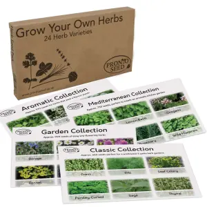 Pronto Seed Herb Bumper Pack, 24 Varieties, Over 2600 Seeds, Grow Your Own Herbs