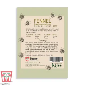 Fennel Promo New Kew Range 1 Seed Packet (250 Seeds)