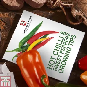 Seed Grow Kit Red Hot Chilli + Sweet Peppers - Ideal Gift