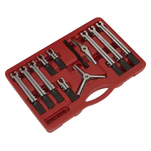 Sealey Bearing & Gear Puller Set 12pc PS900