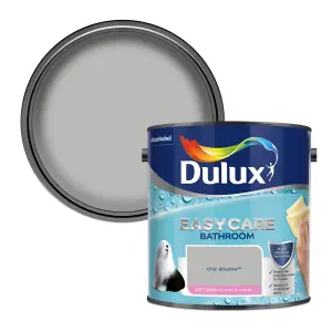 Dulux Easycare Chic shadow Soft sheen Emulsion paint, 2.5L